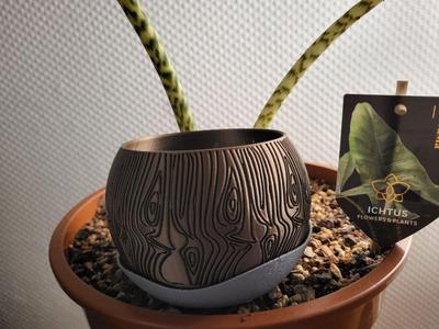 Spherepot with wood pattern. 