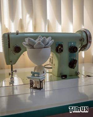 ROBERTA PLANT - SEWING MACHINE