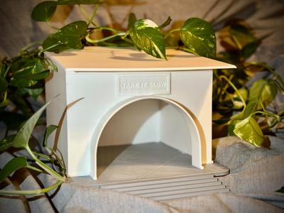 Raised Turtle House – 3D Shelter