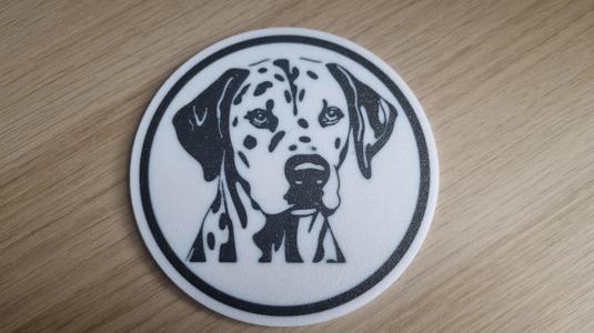 Dalmatian Coaster