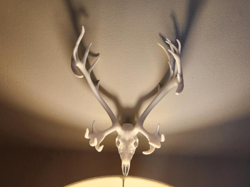"Caribou" Deer Skull