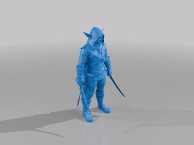 Elf Rogue