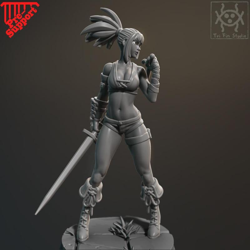 Pin up - Dual sword fighter