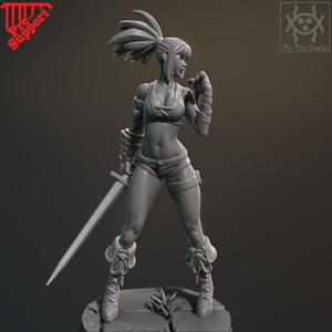 Pin up - Dual sword fighter