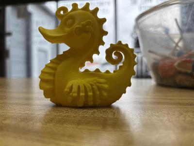 Seahorse Duck