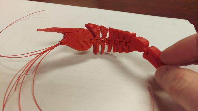 Flexi Shrimp
