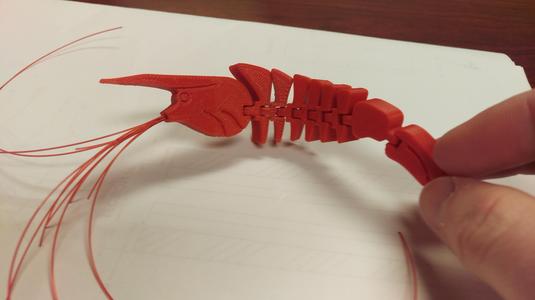 Flexi Shrimp