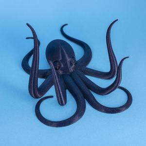 Octopus Wall Art/Hanger