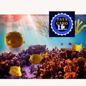 Pez Globo Kawaii (Kawaii Puffer Fish/Fugu)