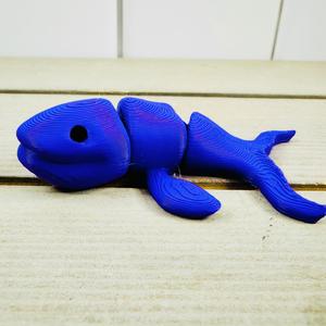 Baby Blue Whale
