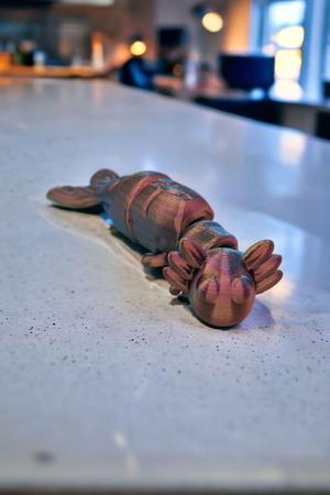Cute Flexi Axolotl - Sushilotl