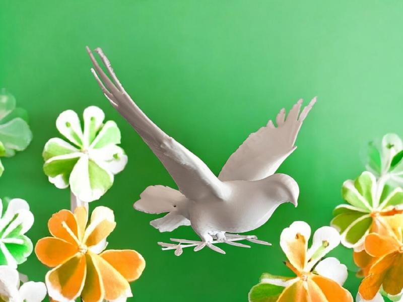 white dove