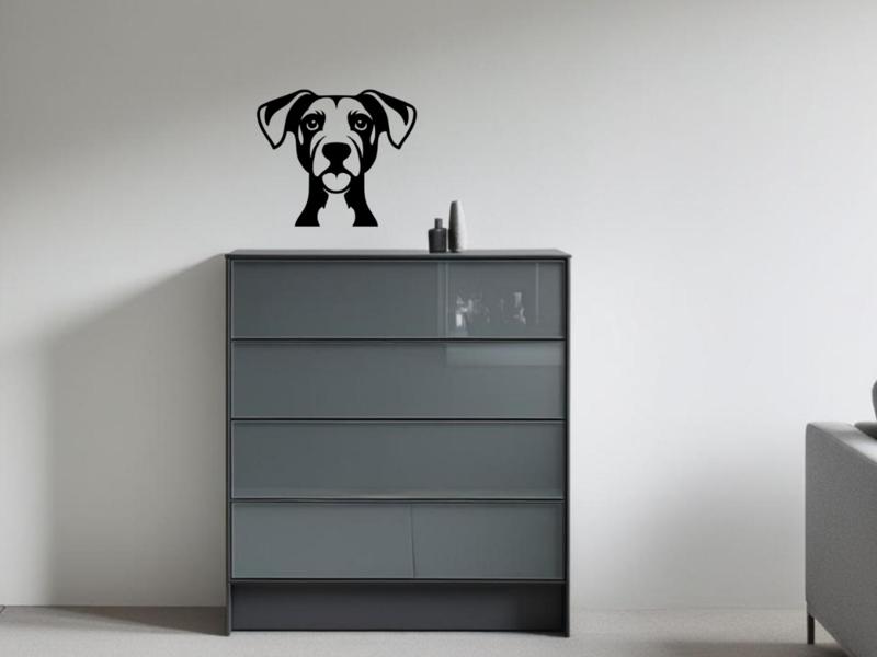 Jack Russel