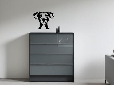 Jack Russel