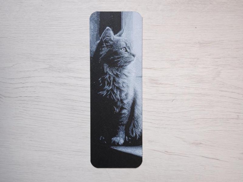 Cat in the Window Bookmark