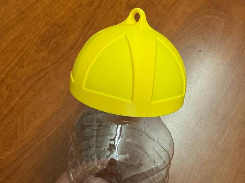 Wasp Trap Bottle Cap