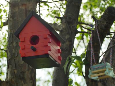 Grandpa's Birdhouse