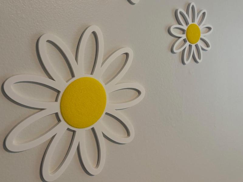Daisy Flower - Fuzzy & 3D