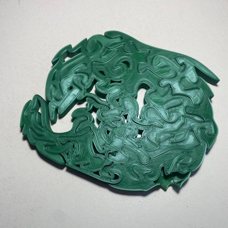 Dolphin Puzzle
