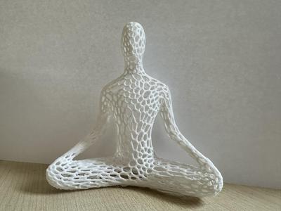 Voronoi Meditation Sculpture