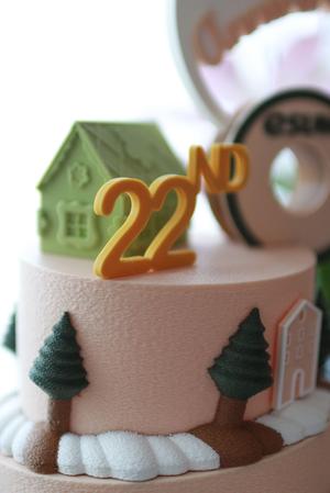 Anniversary Cake