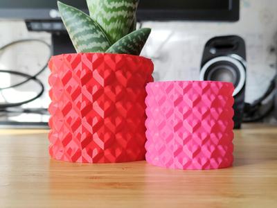 Heart Shape Plant pot and Planter - Vase mode