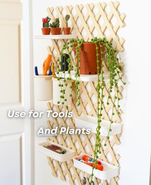 Trellis Storage System - Base Bundle | Pegboard Alternative