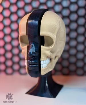 Anatomy