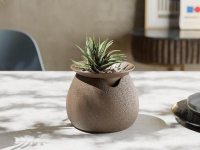 AquaFlora Self-Watering Planter