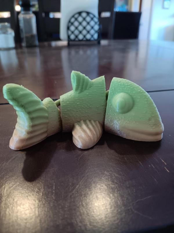 goldfish magnet flexi fidget toy 