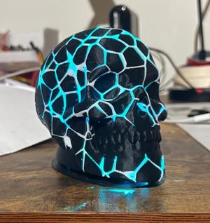 Vernoi Skull Lamp