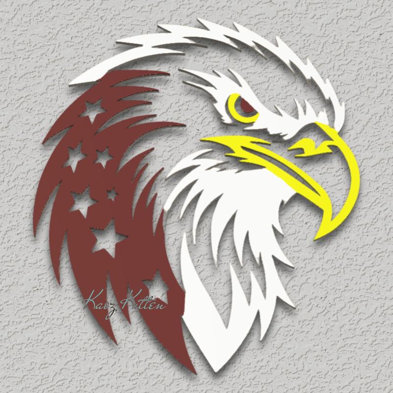 EXCLUSIVE eagle head with stars full color wall art home decor