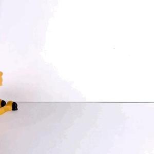 CAMEL, CUTE FLEXI CAMEL PRINT IN PLACE NO SUPPORT