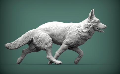 German Shepherd