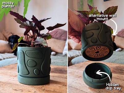 mossy wall planter with hidden drip tray