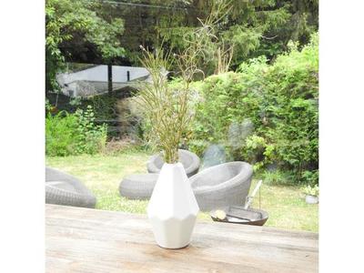 Vase soliflore  cut  