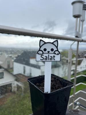 Pflanzschild  Plantlabel  editable text Plant sign