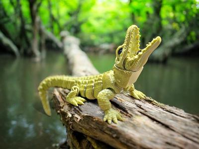 Articulated Alligator