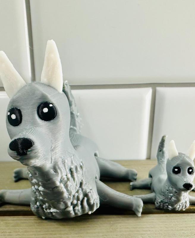 LFC Blue Heeler