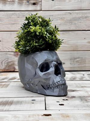 Skull Planter/Pot - low polly