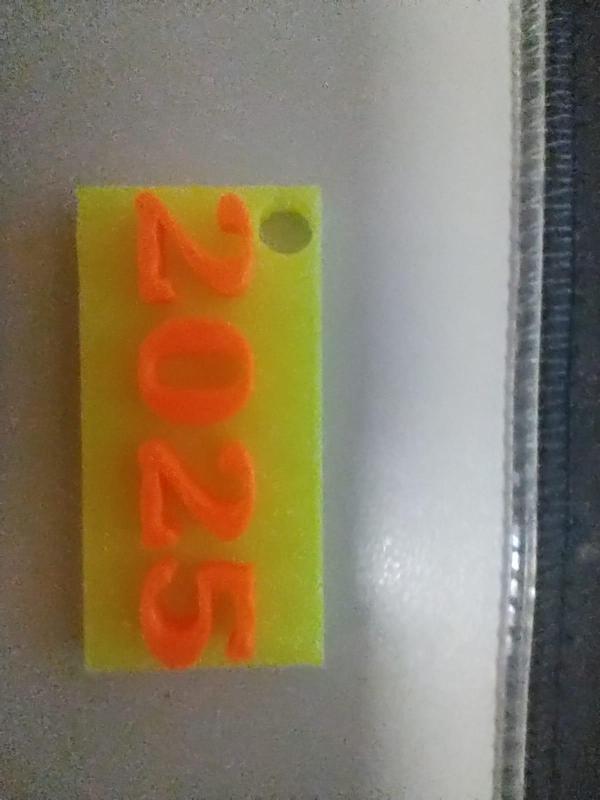 Přívěšek na kíče 2025/key chain 2025