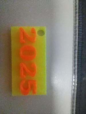 Přívěšek na kíče 2025/key chain 2025