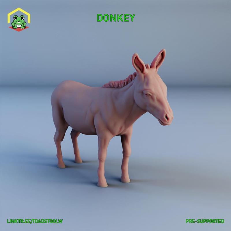 Donkey