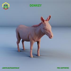 Donkey