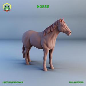 Horse