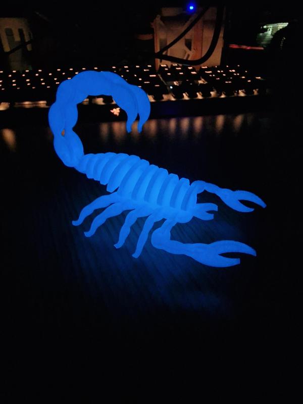 Scorpion Puzzle Kit (Assembly Video inc.)