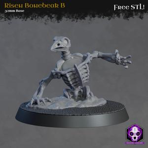 The Boneflock | Risen Bonebeak B (Unsupported)