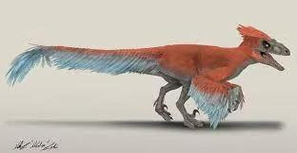 pyroraptor