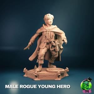 Male Rogue Young Hero