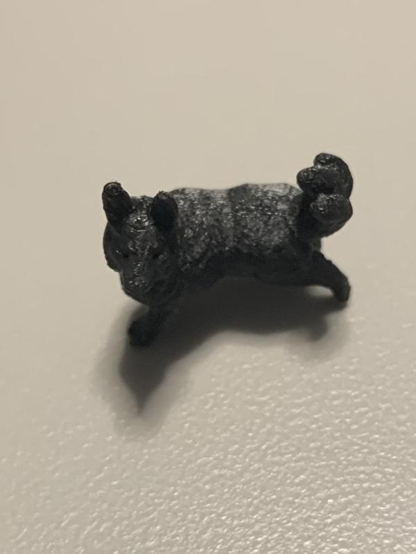 Corgi 3, 4, 5 tails